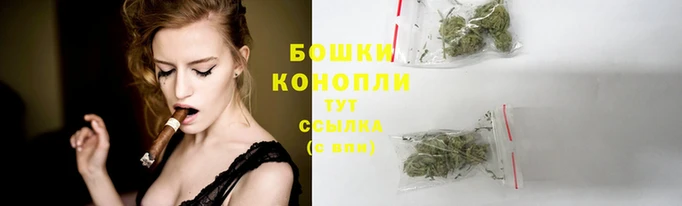 Альфа ПВП Дмитров