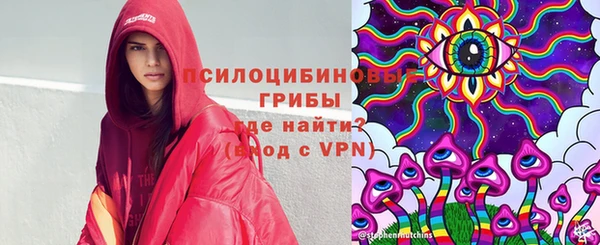 первитин Дмитриев