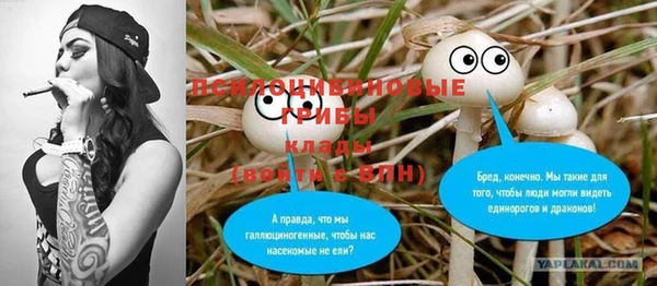 дурь Сосновоборск