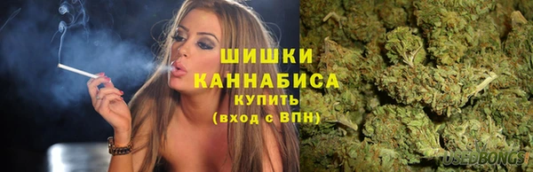 Альфа ПВП Дмитров